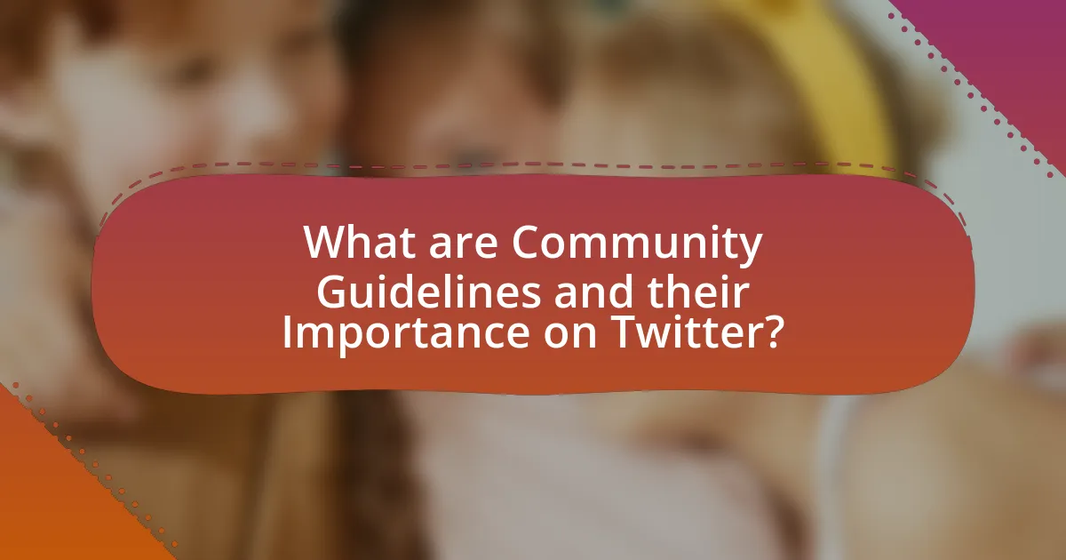 What are Community Guidelines and their Importance on Twitter?
