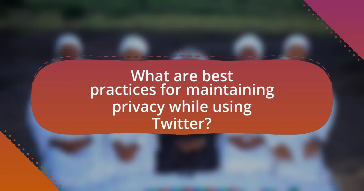 What are best practices for maintaining privacy while using Twitter?