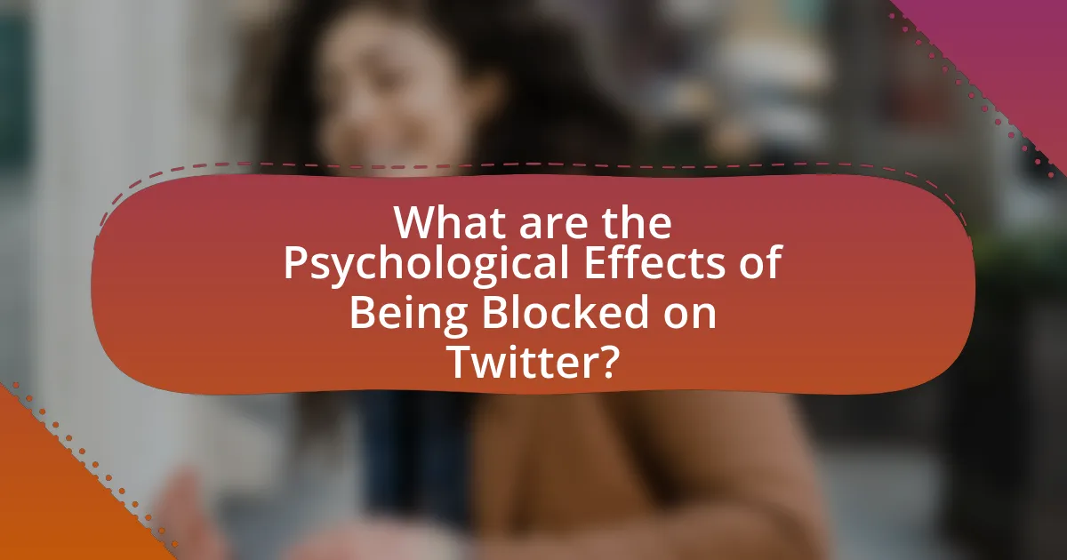 What are the Psychological Effects of Being Blocked on Twitter?