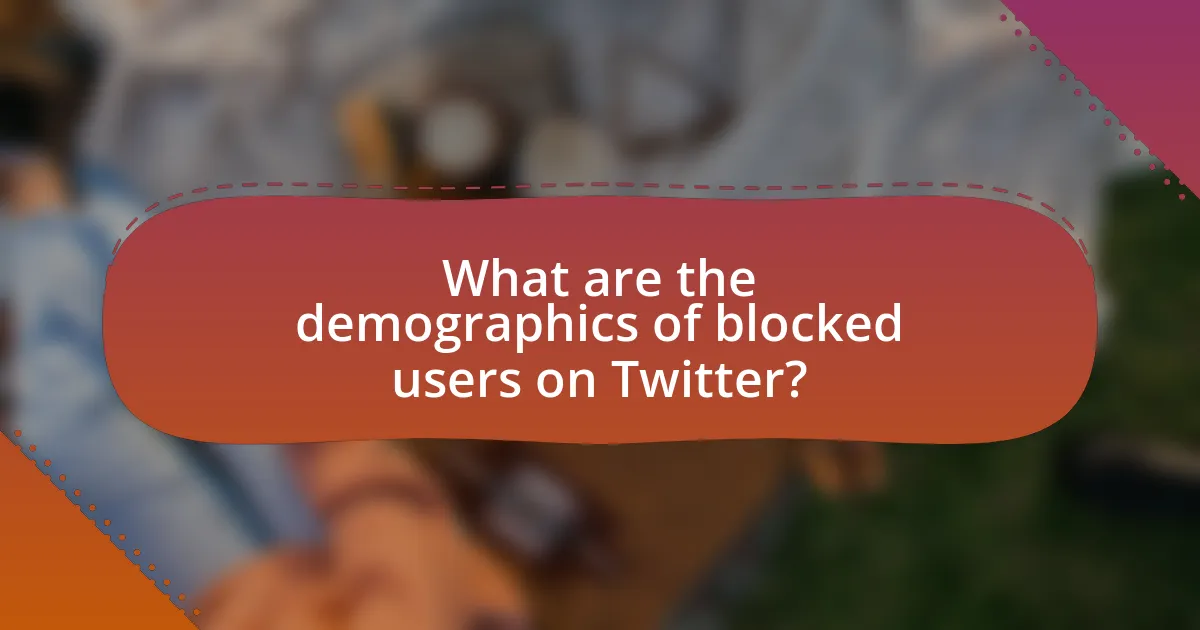 What are the demographics of blocked users on Twitter?