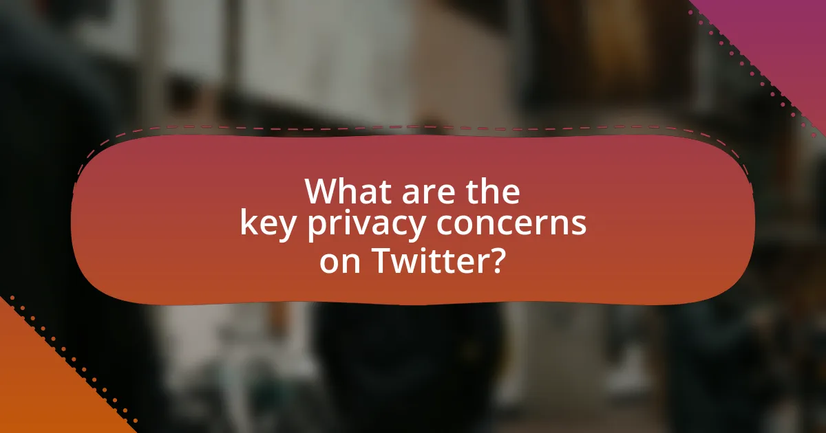 What are the key privacy concerns on Twitter?